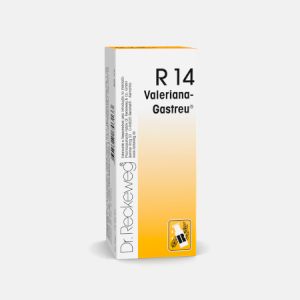 R14 Insónia, Nervosismo – 50ml – Dr. Reckeweg