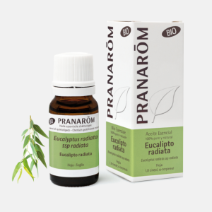 OE Eucalipto Radiata Eucalyptus radiata BIO – 10ml – Pranarom