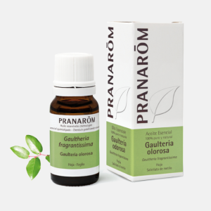 OE Gaultéria Gaultheria fragantissima BIO – 10ml – Pranarom