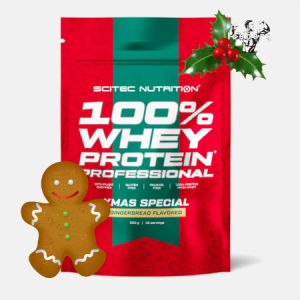 100% Whey Protein Professional Gingerbread – 500g – Scitec Nutrition