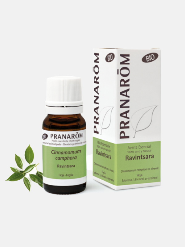 OE Ravintsara Cinnamomum camphora BIO - 10ml - Pranarom