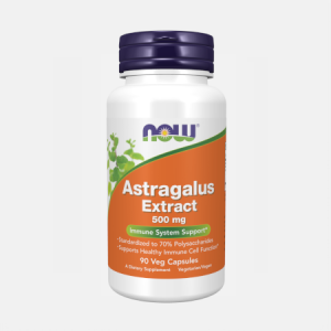 Astragalus Extract – 90 cápsulas – Now