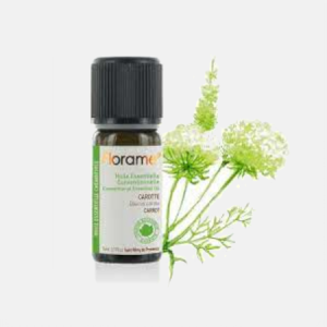 Óleo Essencial Coentro Coriandrum Sativum ORG – 5ml – Florame