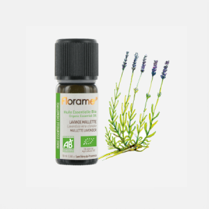 Óleo Essencial Lavanda Mailete Lavandula vera Clonale – 10ml – Florame