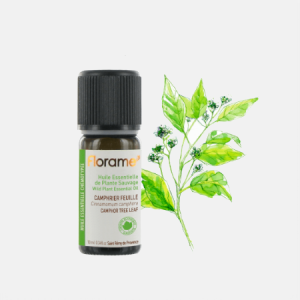 Óleo Essencial Canfora Folha Selvagem Cinnamomum Camphora – 10ml – Florame