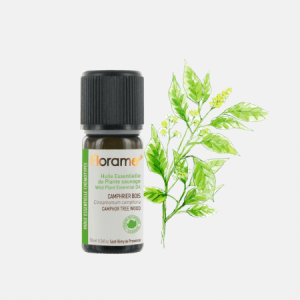 Óleo Essencial Canfora Madeira Selvagem Cinnamomum Camphora – 10ml – Florame