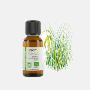 Óleo Essencial Citronela Cymbopogon Winterianus – 30ml – Florame