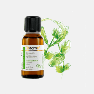 Óleo Essencial Eucalipto Radiata Eucalyptus Radiata – 30ml – Florame