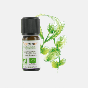 Óleo Essencial Eucalipto Radiata Eucalyptus Radiata – 10ml – Florame