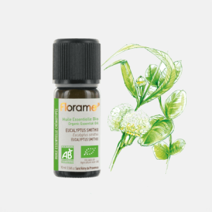 Óleo Essencial Eucalipto Eucalyptus smithii – 10ml – Florame