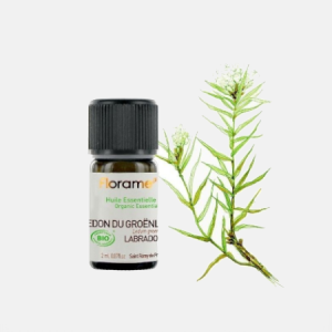 Óleo Essencial Labrador Ledum groenlandicum ORG – 2ml – Florame