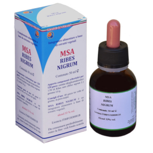 MSA Ribes Nigrum groselha negra – 50 ml – Herboplanet